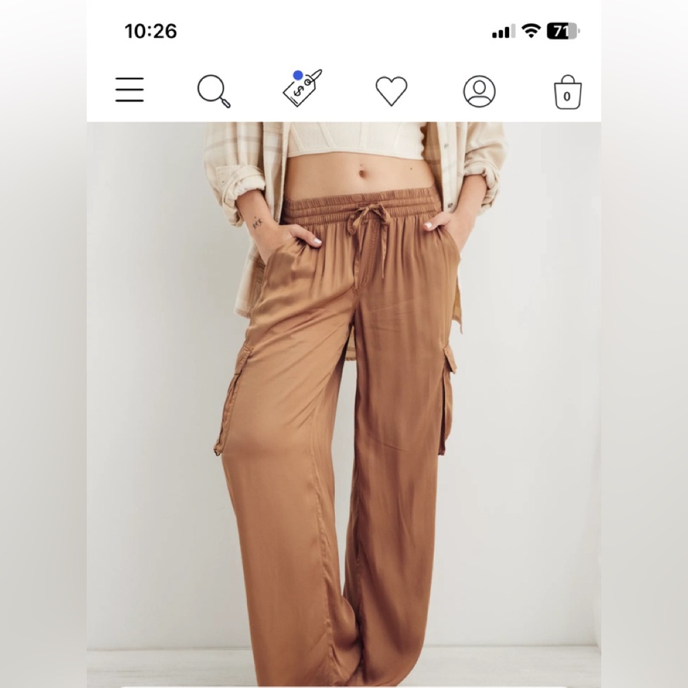 Aerie Shine Cargo skater pants